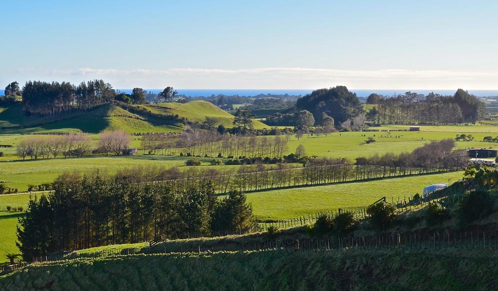 A Touch Of Tuscany At Hillsborough นิวพลีมัธ ภายนอก รูปภาพ
