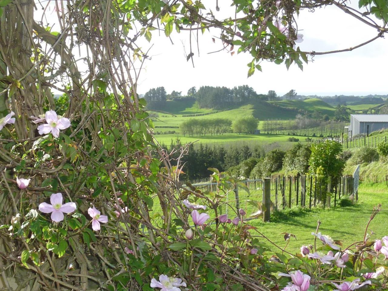 A Touch Of Tuscany At Hillsborough นิวพลีมัธ ภายนอก รูปภาพ